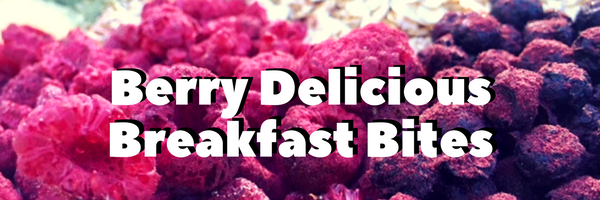 Berry Delicious Breakfast Balls (5)